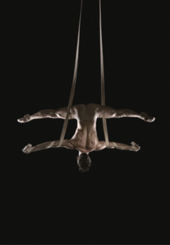 Artista acrobatico aereo