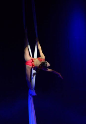 Danza acrobatica aerea