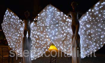 farfalle luci led bianco per matrimonio farfalle luci led bianco per matrimonio