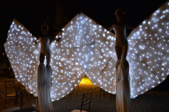 Farfalle luminose per sposi Farfalle luminose con le ali