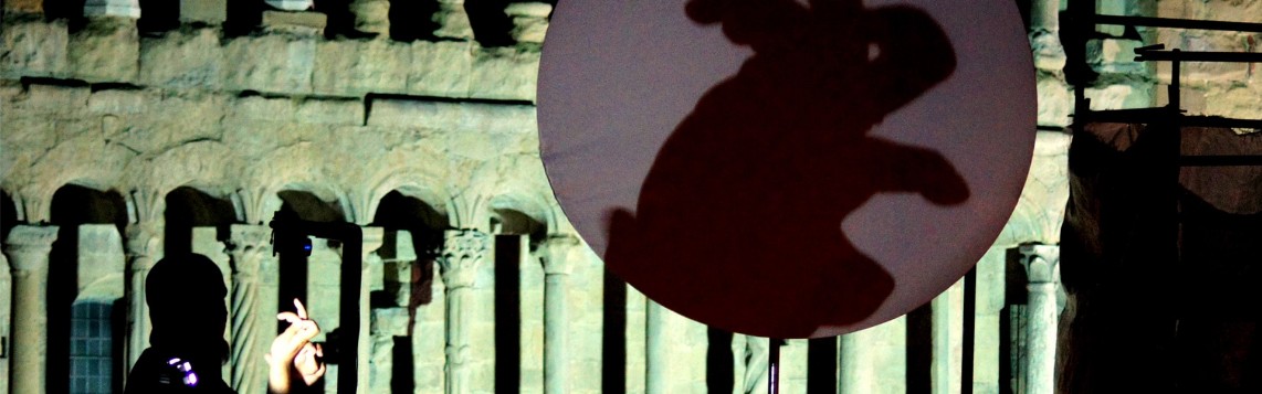 Teatro delle ombre per eventi