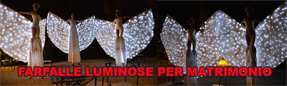 farfalle luminose per matrimonio