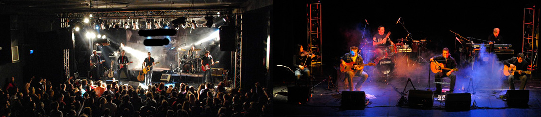 concerto tgributo a ligabue